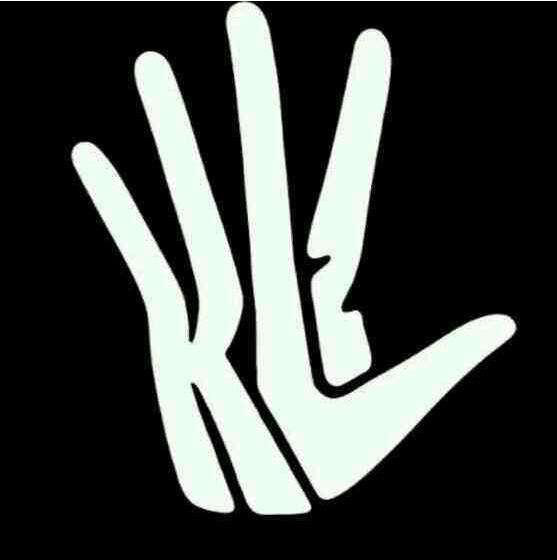 nba球星的个人logo NBA中球星的个人logo(5)