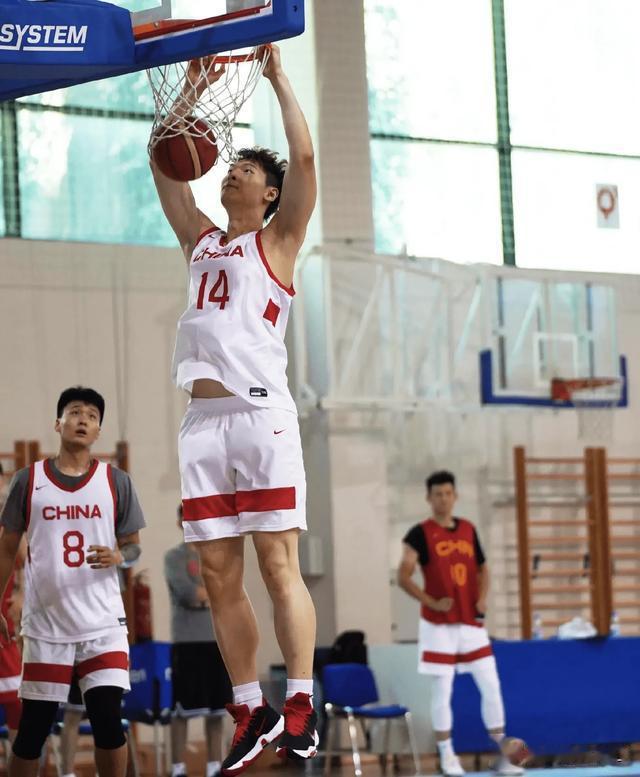 中国男篮5名球星让乔尔杰维奇失望，球迷：组一队可在CBA夺冠(3)