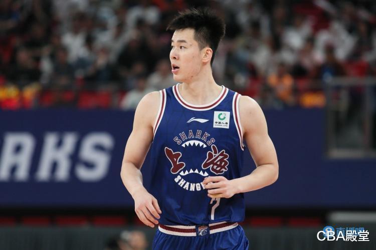 坏消息！上海男篮官宣5名主力伤病，郭昊文未提，季后赛遇挑战(3)