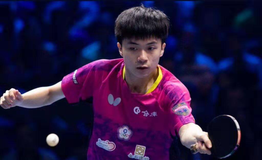 樊振东的2017和2019年世乒赛(19)