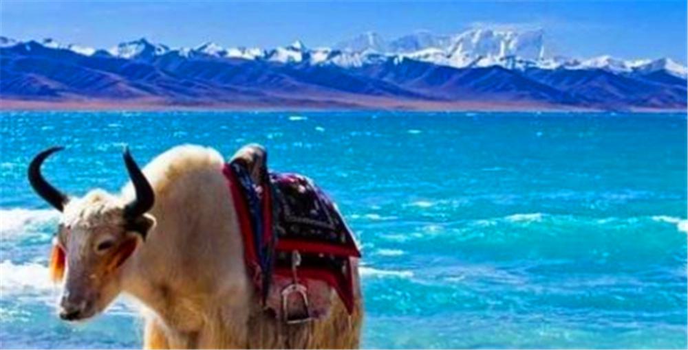 去西藏旅游什么季节最好？