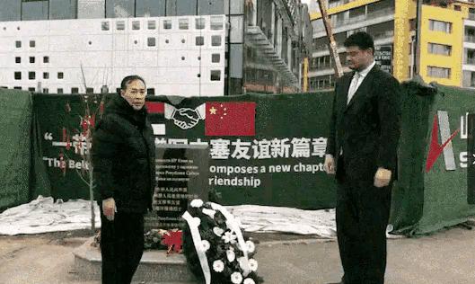 中国2分绝杀奥运亚军，2米26姚明弯腰献花，纪念牺牲21年中国英雄(4)
