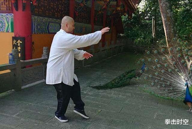 中国搏击专家：练武术要讲究规矩，马云保镖的水平属于虚名(2)