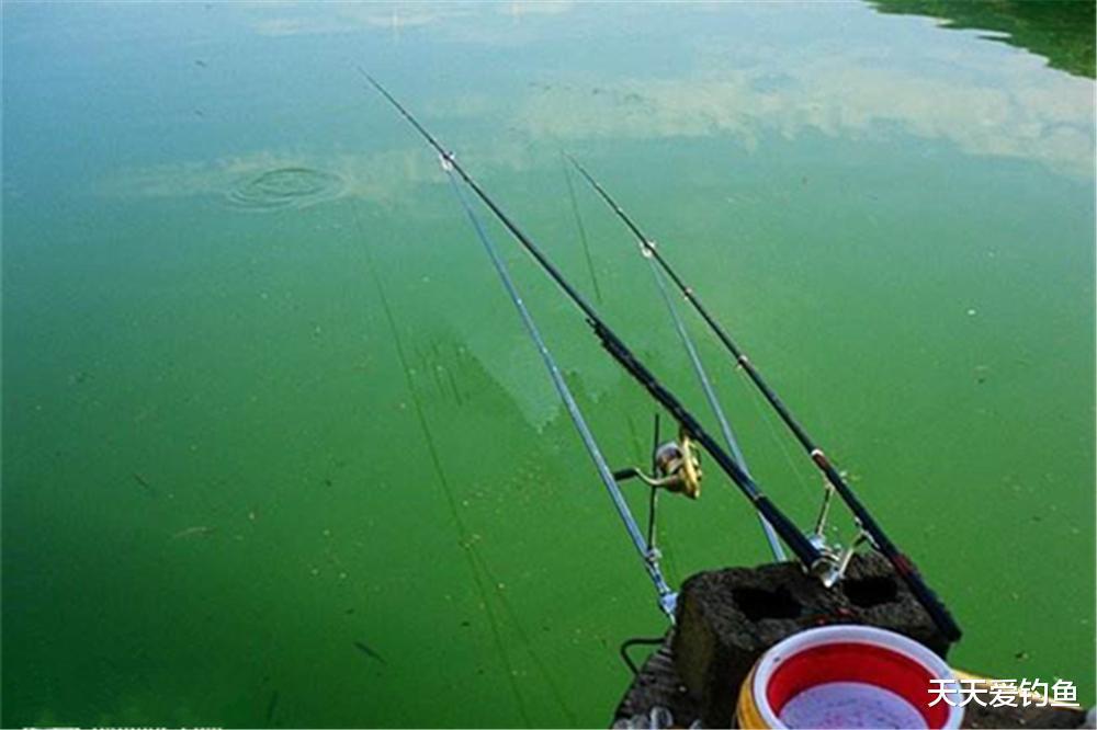 盛夏野钓，大鱼在深水，用这种带漂远投钓法，绝杀远处各种大鱼(5)