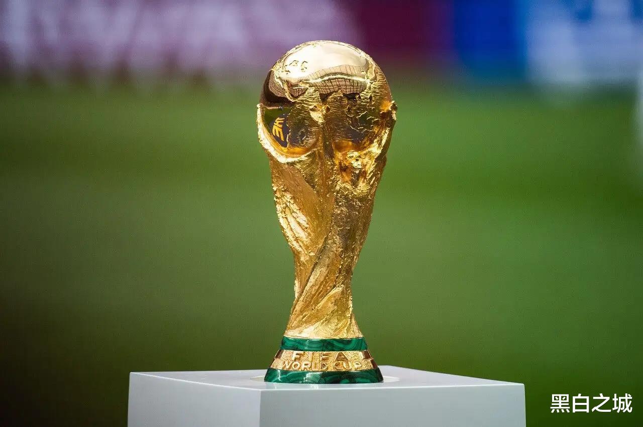 喜讯！权威媒体证实：中国足协有意申办2030年世界杯！(3)
