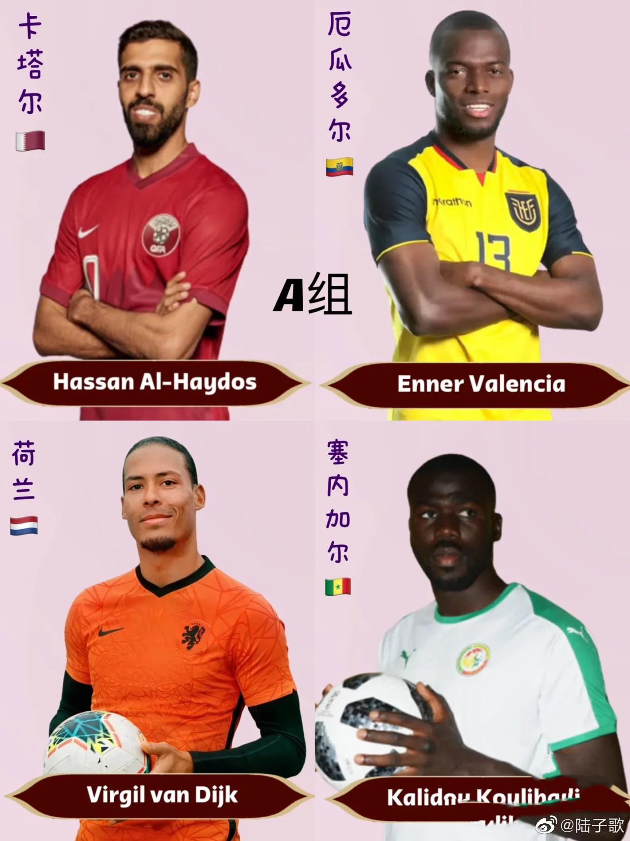 【足球冷知识：世界杯各国队长】足坛帅哥，你们最吃谁的颜？A组卡塔尔：哈桑·海多斯(2)