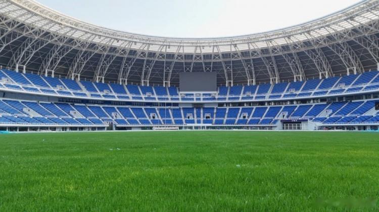 天津体育局：迎接国足世预赛，天津奥体中心草坪正全面养护(2)